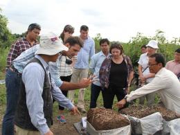 Direct Seeding Mulch-Based Cropping System: Will on-the-Ground Practices Inform National Policies?