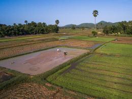 Climate Proofing of Agricultural Infrastructure
