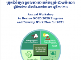 GSSD's Annual Workshop to Review NCSD 2020 Progress and Develop 2021 Work Plan